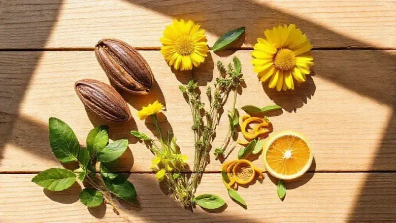 5 plantas usadas por povos antigos para recuperar a alegria de viver