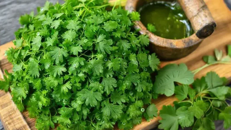 Folhas acessíveis perfeitas para reduzir retenção