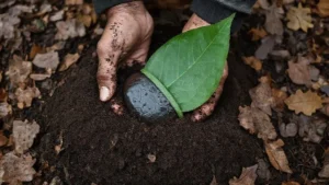 O melhor ritual da terra para liberar culpas guardadas no corpo