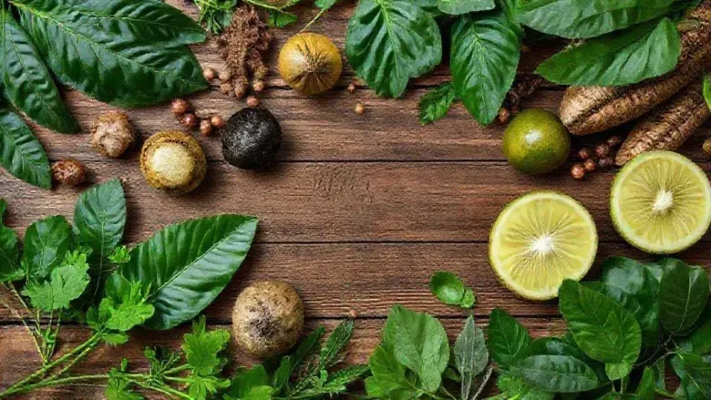 10 Pratos da Floresta que Você Nunca Viu mas Vai Querer Experimentar